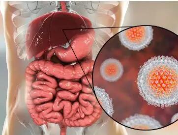 هپاتیت، قاتل خاموش؛ با این بیماری بیشتر آشنا شوید