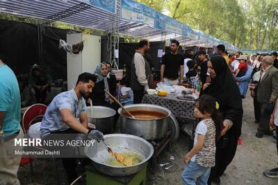 پنجمین جشنواره غذا به همت  مجمع خیرین سلامت ملایر برگزار شد