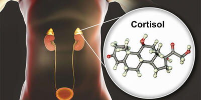 هورمون کورتیزول چیست؟ و چه تاثیری در بدن دارد؟