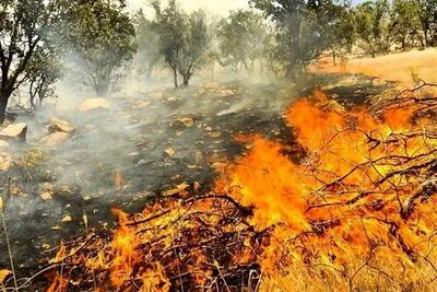 آتش سوزی در منطقه حفاظت شده جهان نما گرگان مهار شد