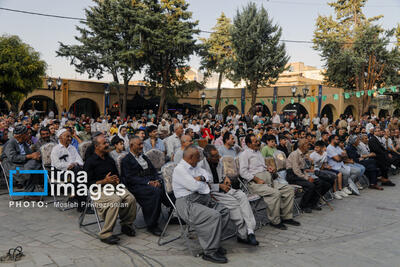 مهابادی‌ها در آسمان درخت گردو را تماشا کردند + فیلم