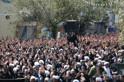 گزارش تصویری: پیاده روی حضرت آیت الله وحید خراسانی در سالروز شهادت امام حسن عسکری(ع) | خبرگزاری بین المللی شفقنا