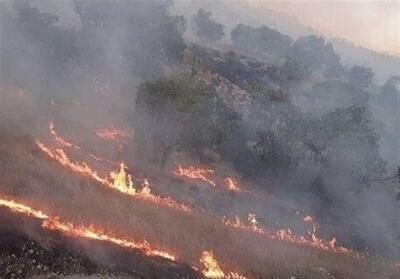 آتش‌سوزی در منطقه گردشگری گاوازنگ زنجان مهار شد - تسنیم