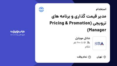 استخدام مدیر قیمت گذاری و برنامه های ترویجی (Pricing   Promotion Manager) در شاتل موبایل