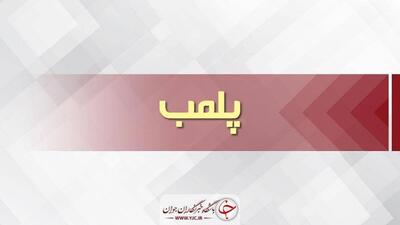 ۵ صنف متخلف در رودبار جنوب پلمب شد 