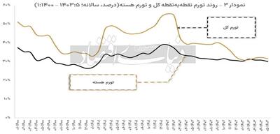 تورم هسته اقتصاد ایران حدود ۳۰درصد است