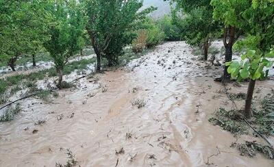  خسارت ۲۰ میلیارد تومانی سیل در شهرستان سملقان