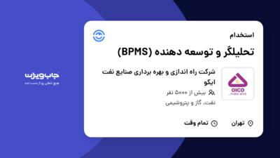 استخدام تحلیلگر و توسعه دهنده (BPMS) در شرکت راه اندازی و بهره برداری صنایع نفت ایکو