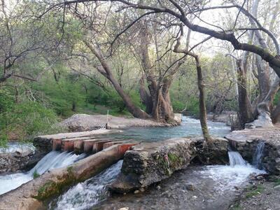 هیچ زمینی در پارک جنگلی سراب گیان واگذار نمی‌شود