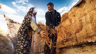 پرداخت مطالبات کشاورزان