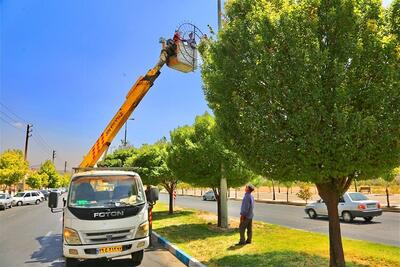 نورپردازی معابر شهر صدرا درحال انجام است