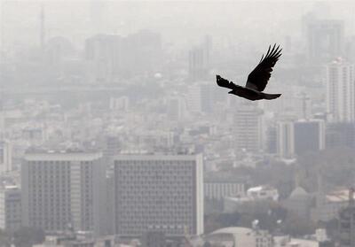 با وام ۹۶۰ میلیونی چند متر خانه می توان خرید؟!