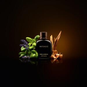 معرفی ادکلن دی اند جی دلچه گابانا پور هوم اینتنسو-Dolce Gabbana Pour Homme Intenso