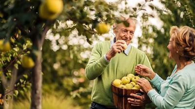 با بوی این میوه‌ها خلق و خوی تان را بالا ببرید