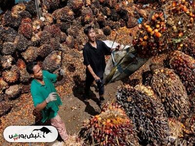 بزرگترین اقتصاد آسیای جنوب شرقی گل کاشت