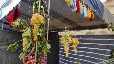 جشنواره ملی انگور در لاهرود مشگین شهر برگزار شد