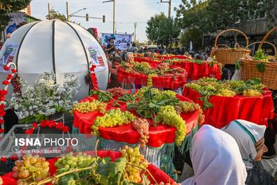 تصاویر دل انگیز از جشن انگور تاکستان