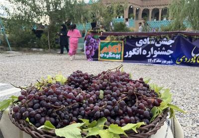 برگزاری جشنواره انگور در کوزران کرمانشاه - تسنیم