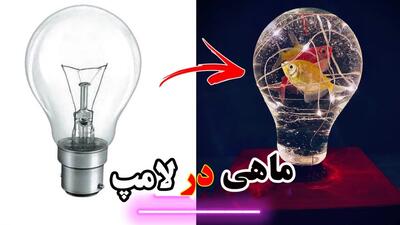 آموزش ساخت تنگ ماهی در لامپ با نور LED و موتور DC برای گردش آب !