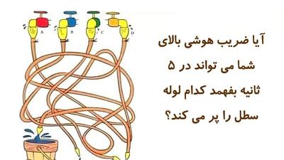 آیا ضریب هوشی بالای شما می تواند در 5 ثانیه بفهمد کدام لوله سطل را پر می کند؟