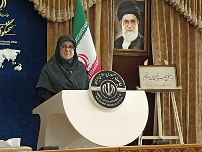 سخنگوی دولت: شورای امنیت برای توقف تجاوزات رژیم صهیونیستی اقدام کند | خبرگزاری بین المللی شفقنا