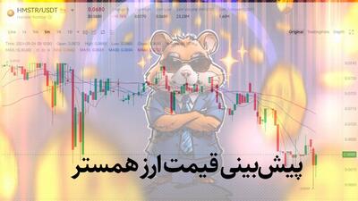 پیش بینی سود و قیمت همستر پس از لیست شدن در صرافی ایرانی