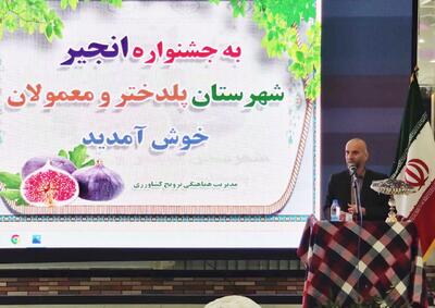 ثبت رکورد تاریخی برداشت گندم در لرستان