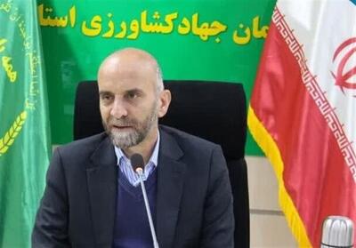 ثبت رکوردهای بی‌سابقه در کشاورزی لرستان/ تولید گندم رکورد زد - تسنیم