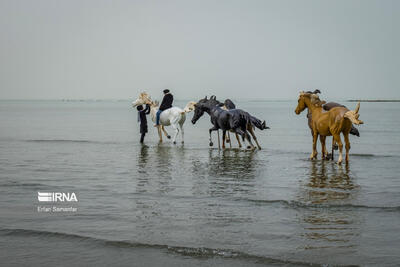 هفت طرح گردشگری در روستای سهیلی جزیره قشم آماده افتتاح است