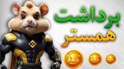 آموزش برداشت از بازی همستر و نقد کردن توکن HMSTR