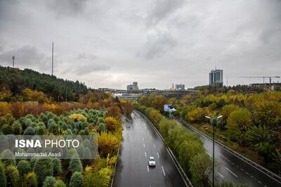 کاهش تدریجی دمای هوای تهران از روز شنبه