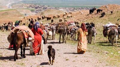 آغاز کوچ پاییزه عشایر چهارمحال و بختیاری به مناطق گرمسیر