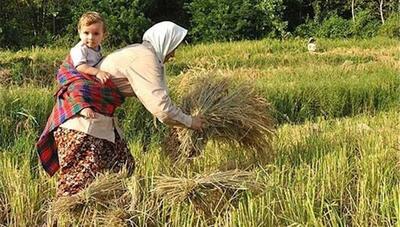 ۲۸۴۵ مادر لرستانی مشمول ماده ۲۱ عضو صندوق شدند