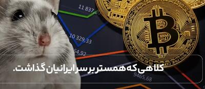 کلاهی که همستر بر سر ایرانیان گذاشت.(قیمت هر توکن کمتر از 500 تومان)