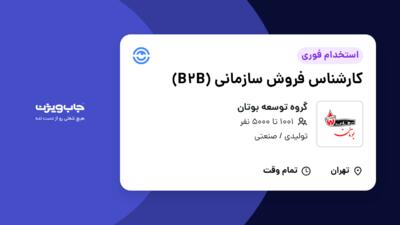 استخدام کارشناس فروش سازمانی (B2B) - آقا در گروه توسعه بوتان