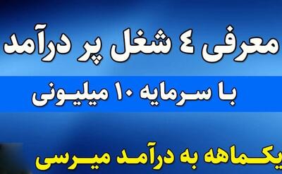 ایده شغل با سرمایه کم : با زیر ۱۰ میلیون تومن میتونی راه بندازی