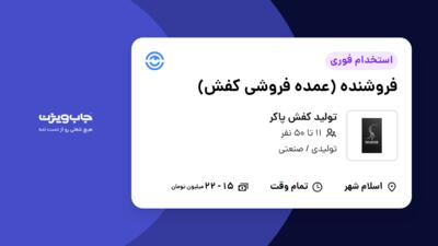 استخدام فروشنده (عمده فروشی کفش) - آقا در تولید کفش پاکر