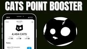 جواب کد یوتیوب boost your cats earnings در کتز