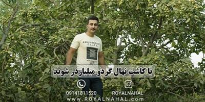 باغدارانی که میخواهند درآمد میلیاردی داشته باشند بخوانند