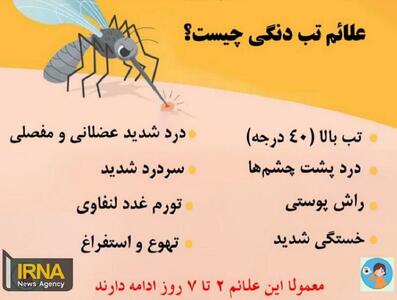 ۸۶ مورد ابتلا به تب دنگی در چابهار شناسایی شده است