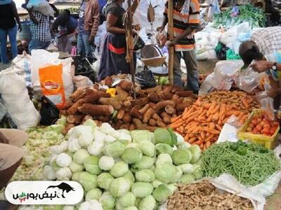 شاخص قیمت جهانی غذا اوج گرفت