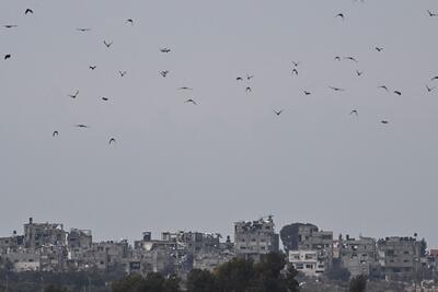 بزرگترین نهاد حقوق فلسطینیان در اروپا: «مردم فلسطین درحال سپری کردن تاریک‌ترین لحظات هستند» | خبرگزاری بین المللی شفقنا