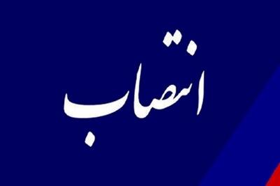 وزیر کار حکم جدید صادر کرد/  سرپرست سازمان آموزش فنی و حرفه‌ای کشور منصوب شد