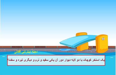  چیستان: یک استخر کوچک با دو لایه دیوار دور آن یکی سفید و نرم و دیگری تیره و سفت؟