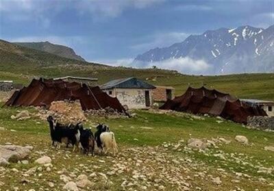 قزوین 2300 خانواده عشایر دارد - تسنیم