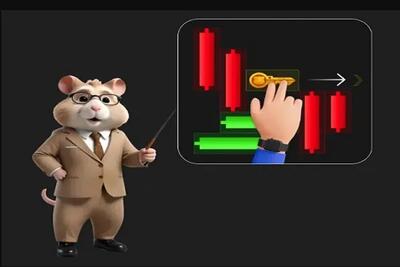  مینی گیم همستر امروز/کلید حل مینی گیم همستر کامبت+ویدئو