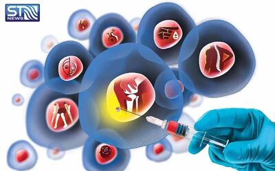 سلول‌های بنیادی عامل درمان بیماری‌های صعب العلاج خواهد بود
