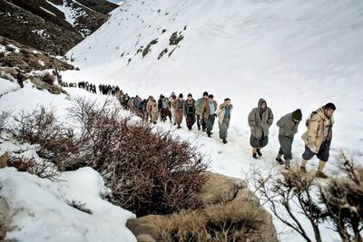 زنان کولبر در تقاطع رنج؛ روایتی از ابعاد ناخوانده و گمشده زندگی زنانی در فرودست ترین طبقه کارگری | اقتصاد24