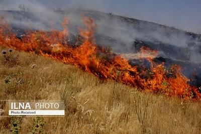 مراتع روستای شیرمرد فلارد دچار آتش سوزی شد