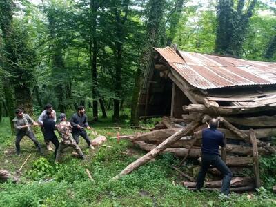 طمعی به گستره جنگل و مرتع مازندران